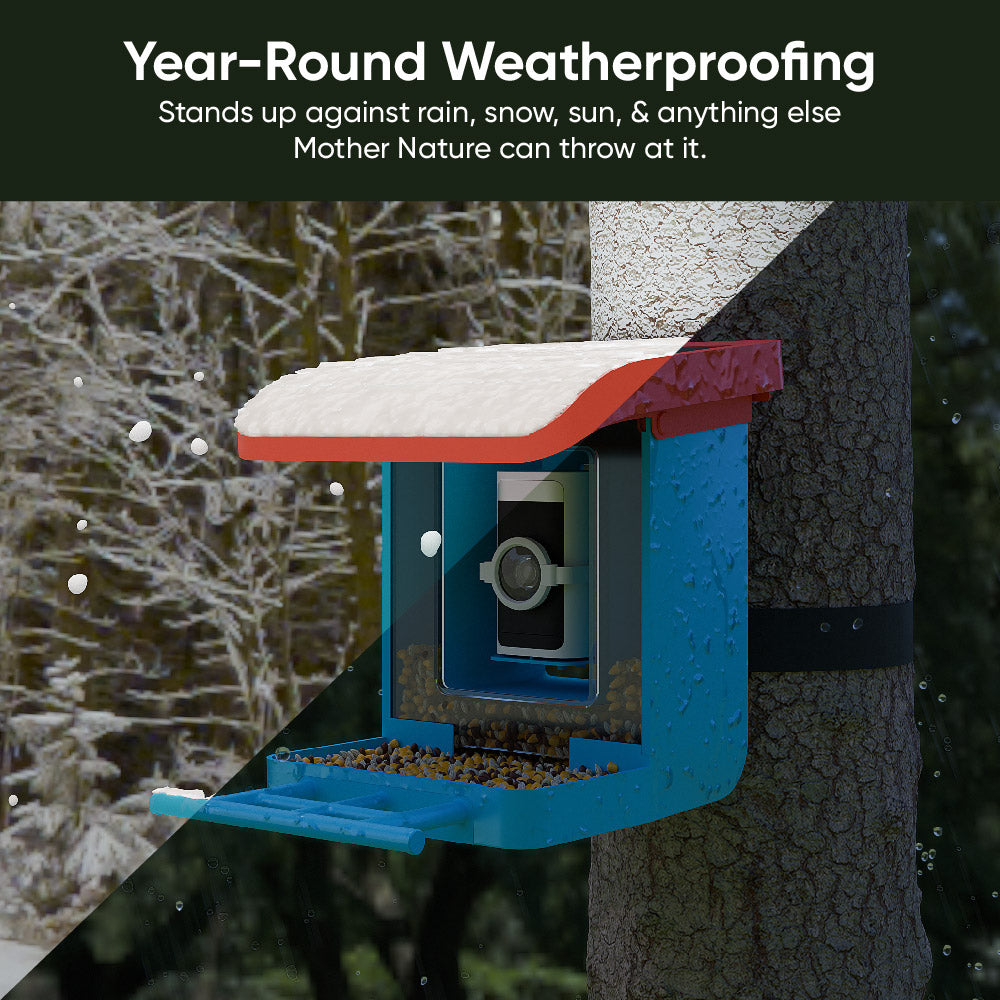 Bird Feeder Camera Bundle