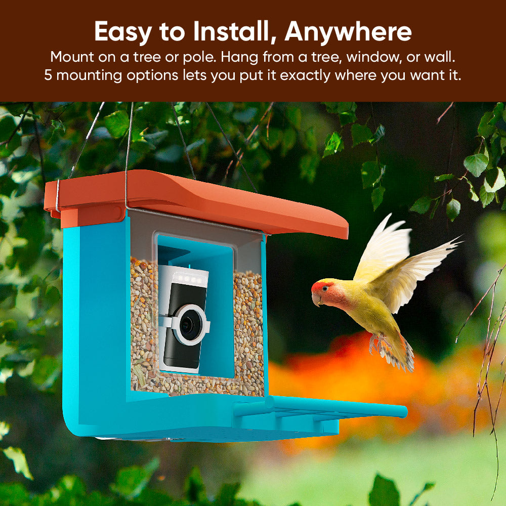 Bird Feeder Camera Bundle