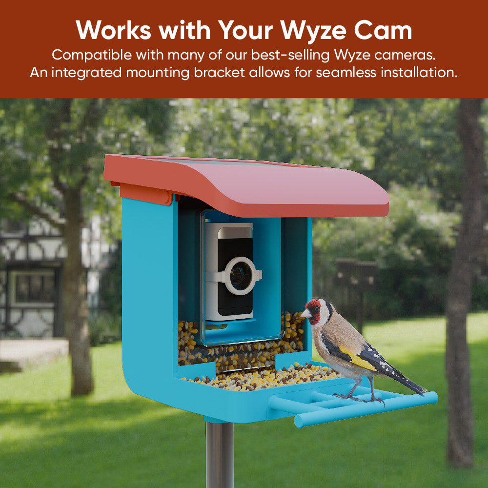 Bird Feeder Camera Bundle