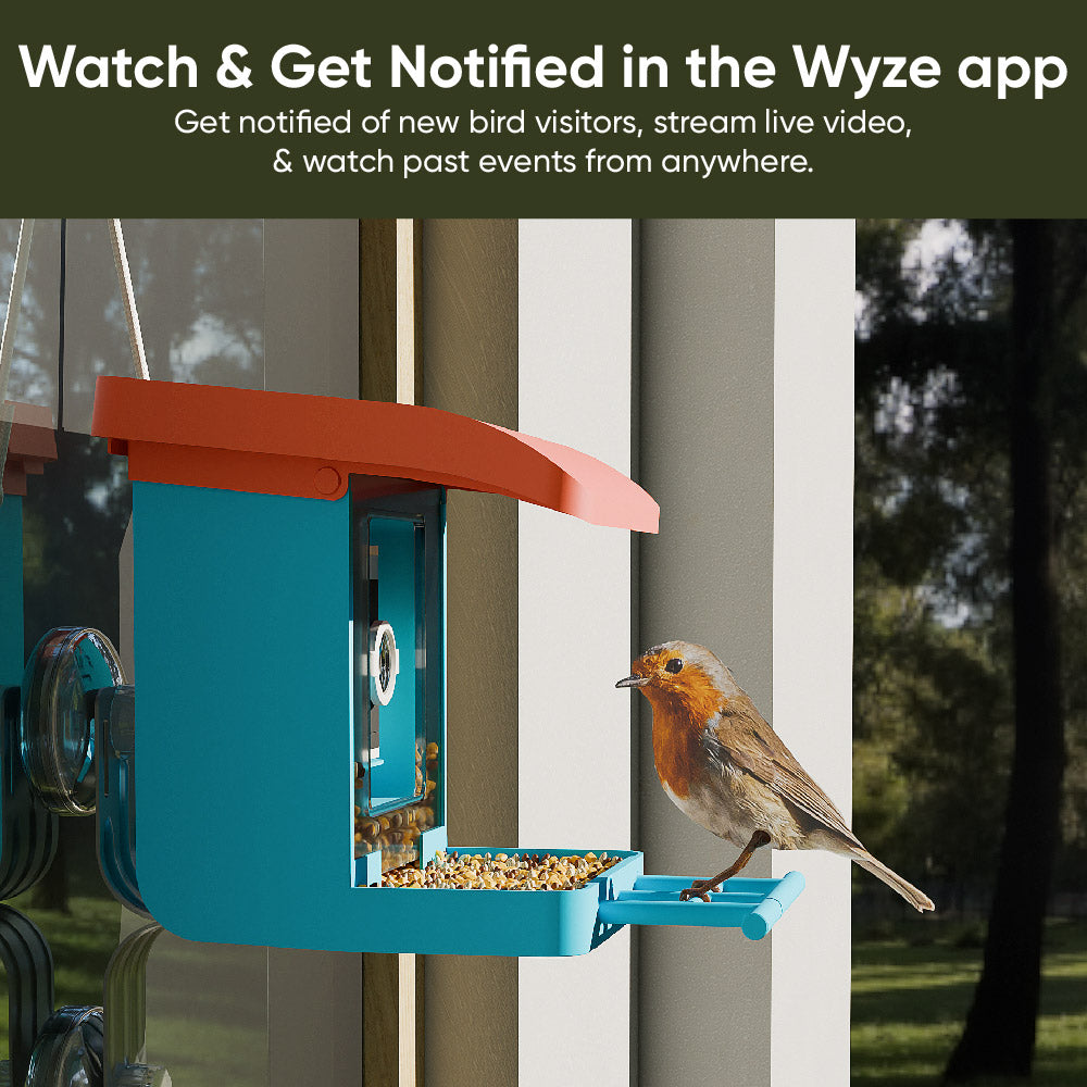 Bird Feeder Camera Bundle