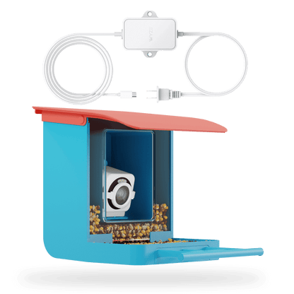 How Do Bird Feeder Cameras Work: Unlocking Backyard Wildlife Secrets