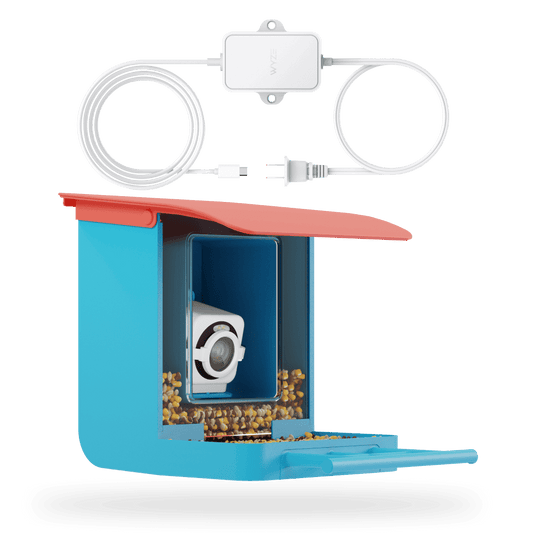 Bird Feeder Cam v4 Bundle