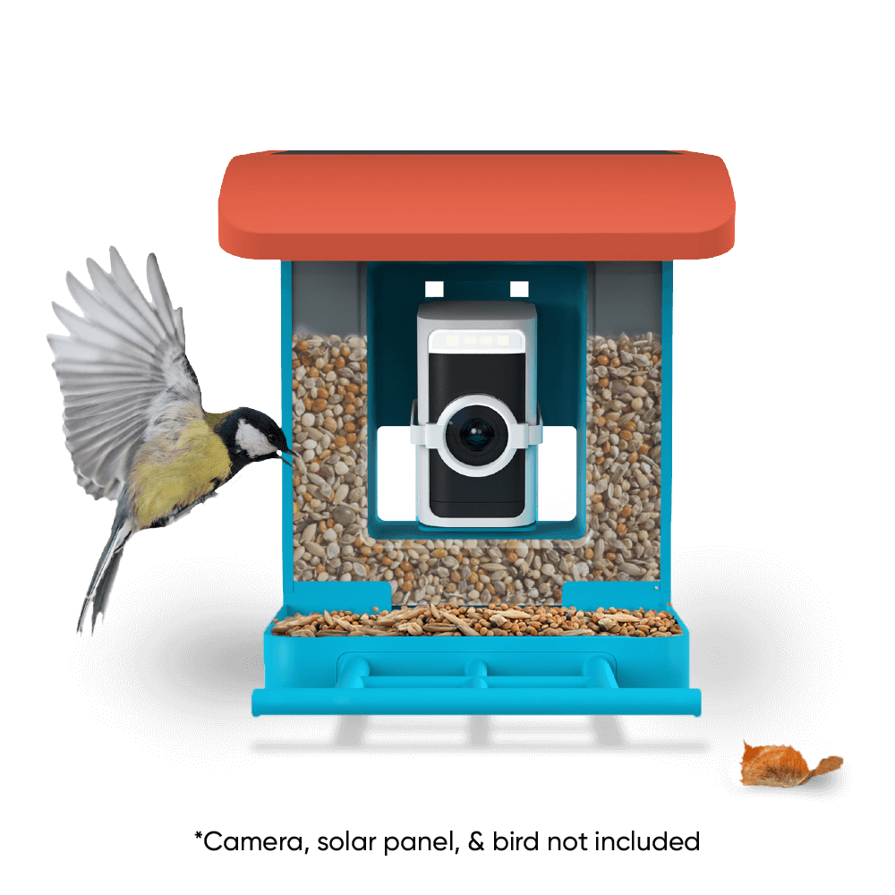 Wyze Bird Feeder