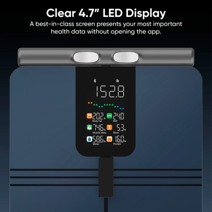 Wyze Scale BodyScan