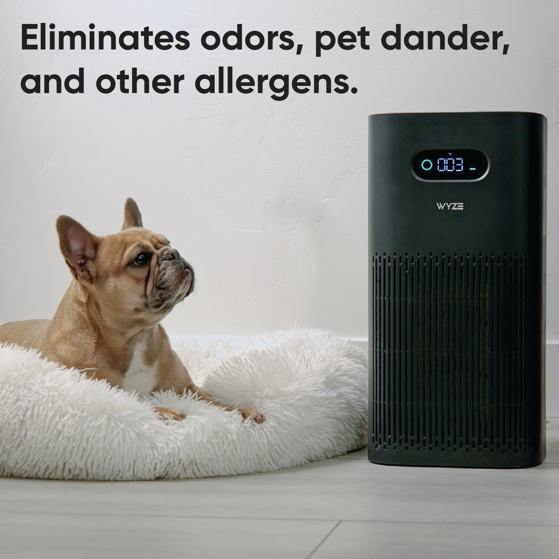 Dog lounging on a dog bed next to the Wyze Air Purifier. Black text overlay that says "eliminates odors, pet dander, and other allergens."
